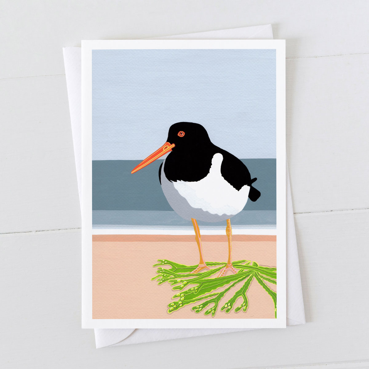 Oystercatcher Greeting card