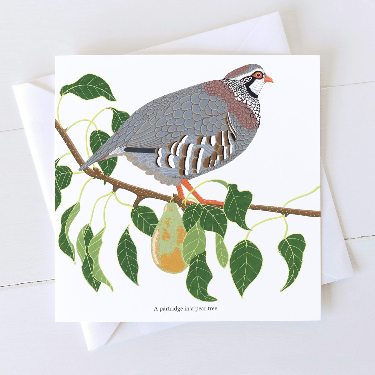 A Partridge In A Pear Tree Christmas Card