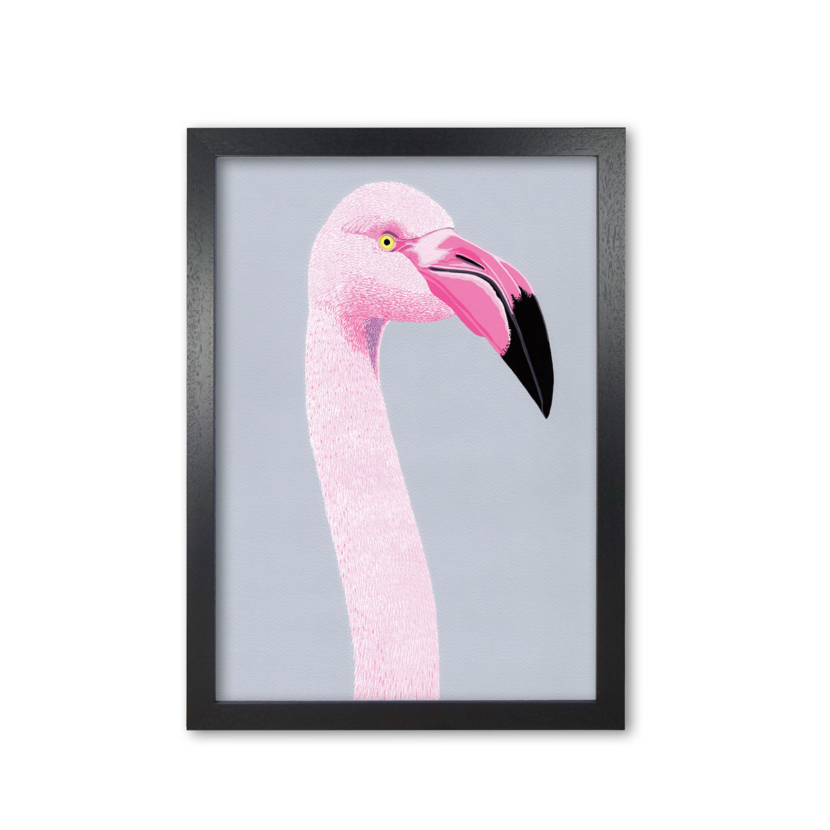 Black Frame Flamingo Art Print