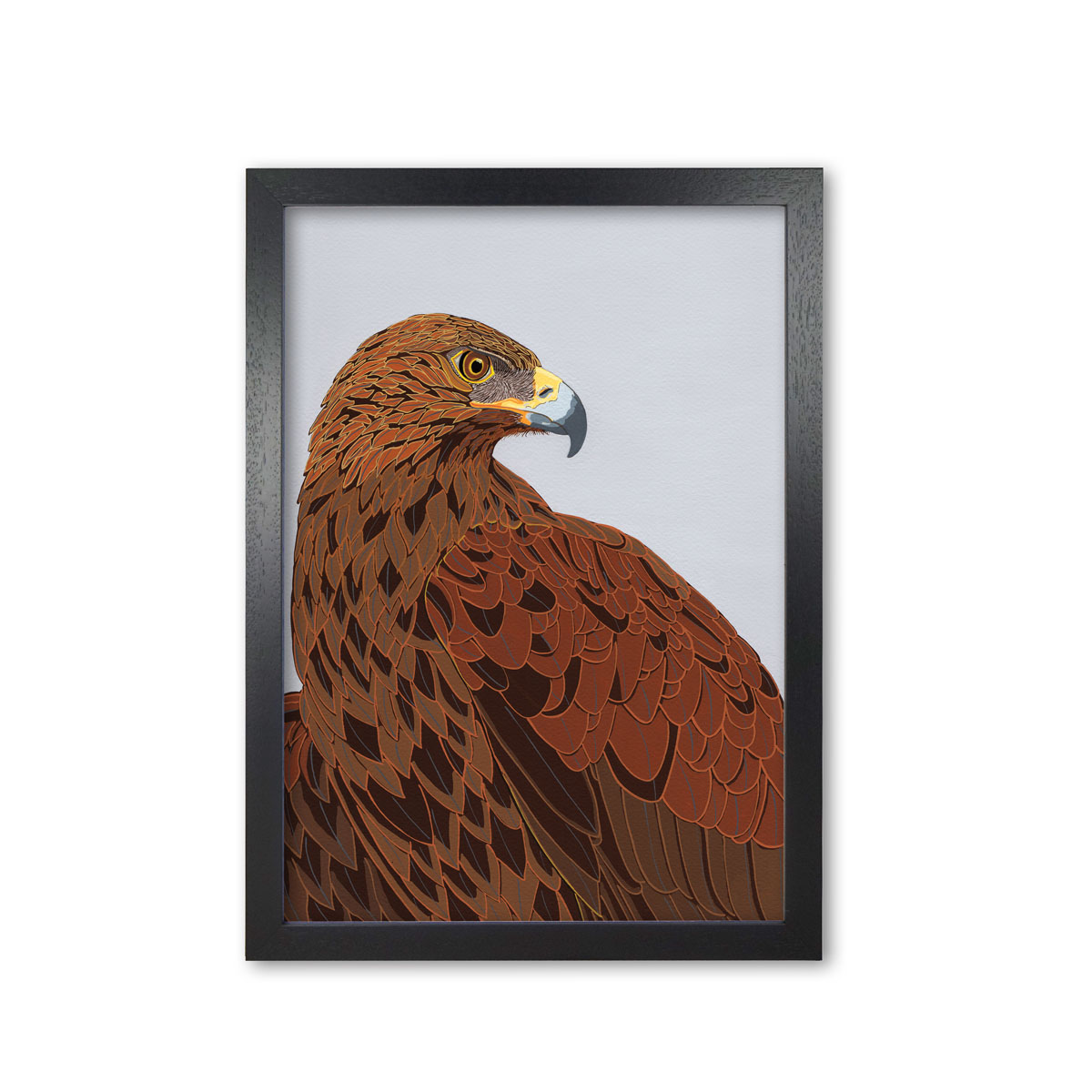 Golden Eagle Bird Head Mounted And Framed Print