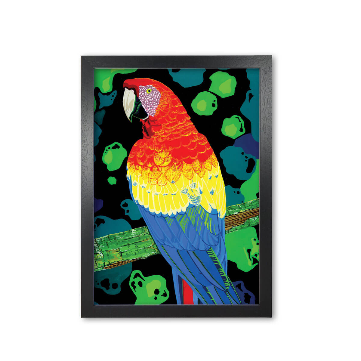MaCaw McCaw Parrot Art Print Mounted And Framed By Bird The Artist