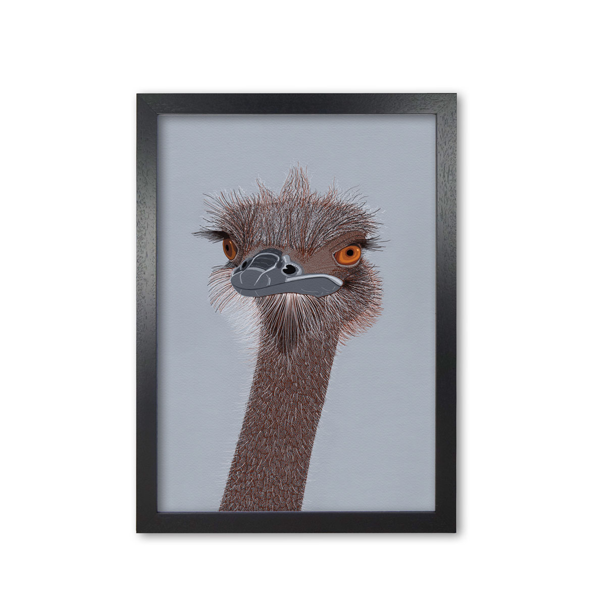 Ostrich Head Mounted and Framed Print