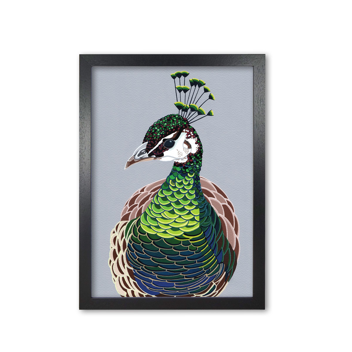 Peahen Bird Head Mounted And Framed Print