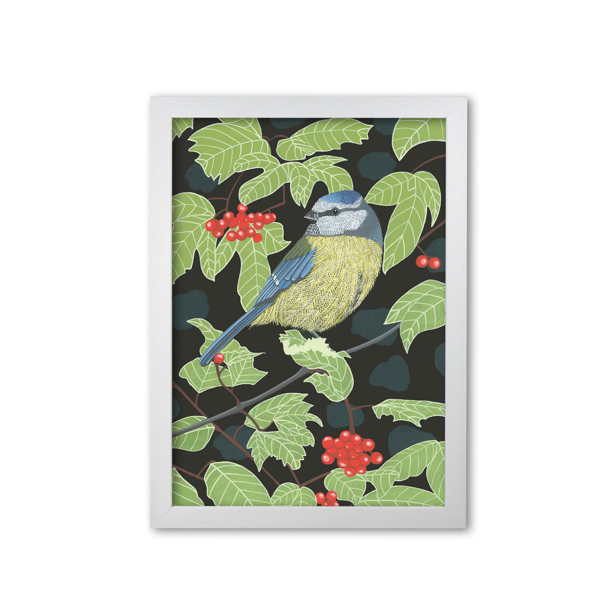 Blue Tit Garden Bird Mounted And Framed Print