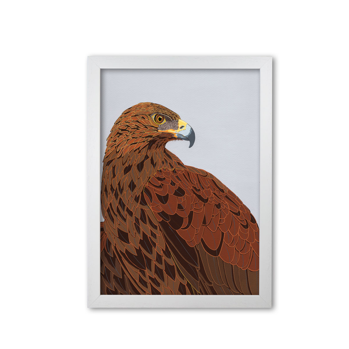 Golden Eagle Bird Head Mounted And Framed Print