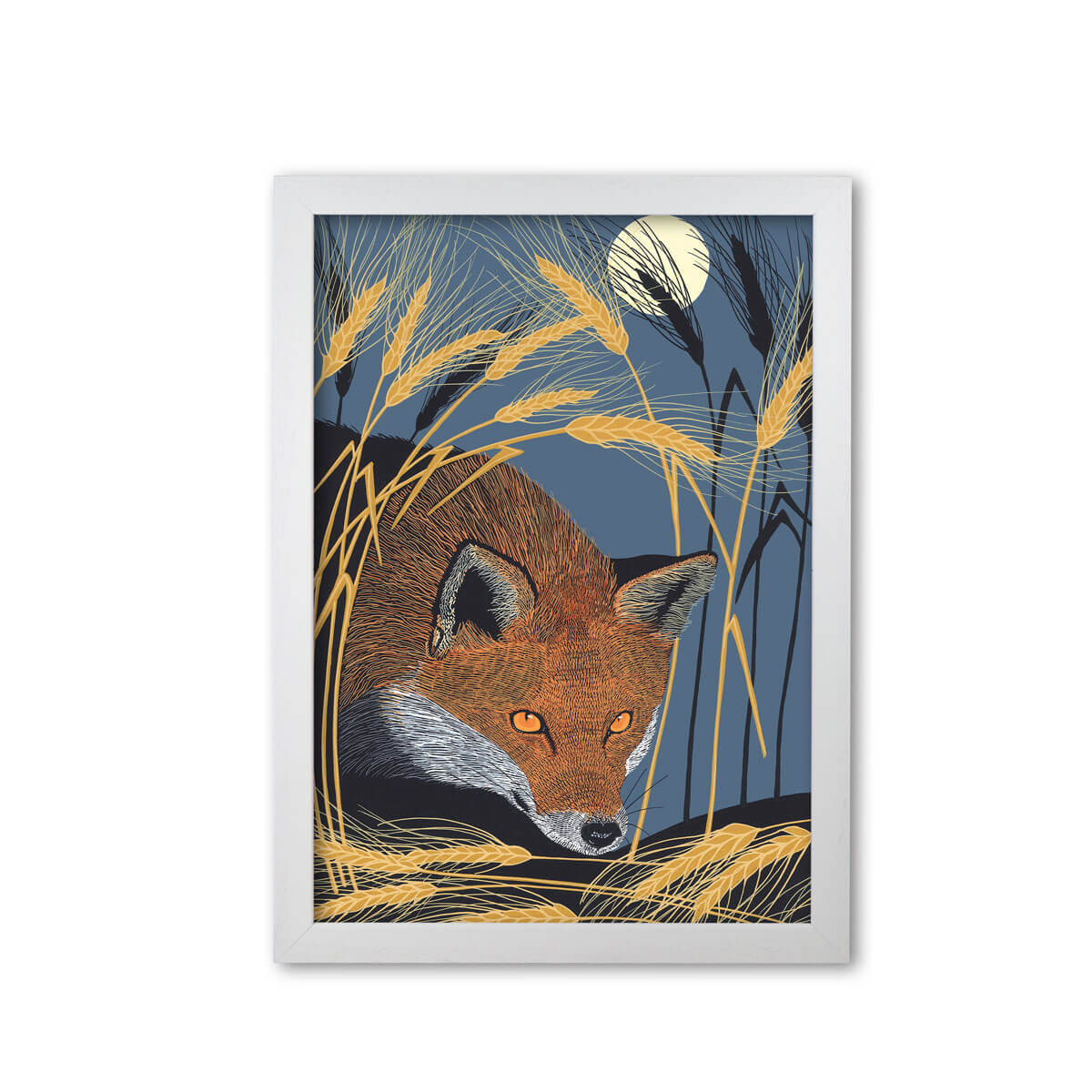 Red Fox Nocturnal Animal Art Print Mounted And Framed