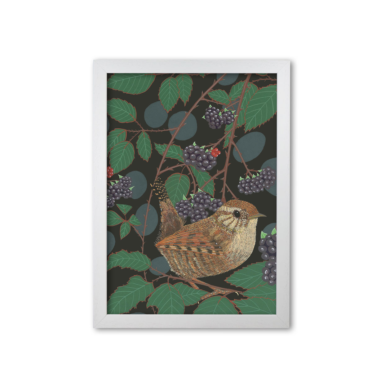 Wren Garden Bird Mounted And Framed Print