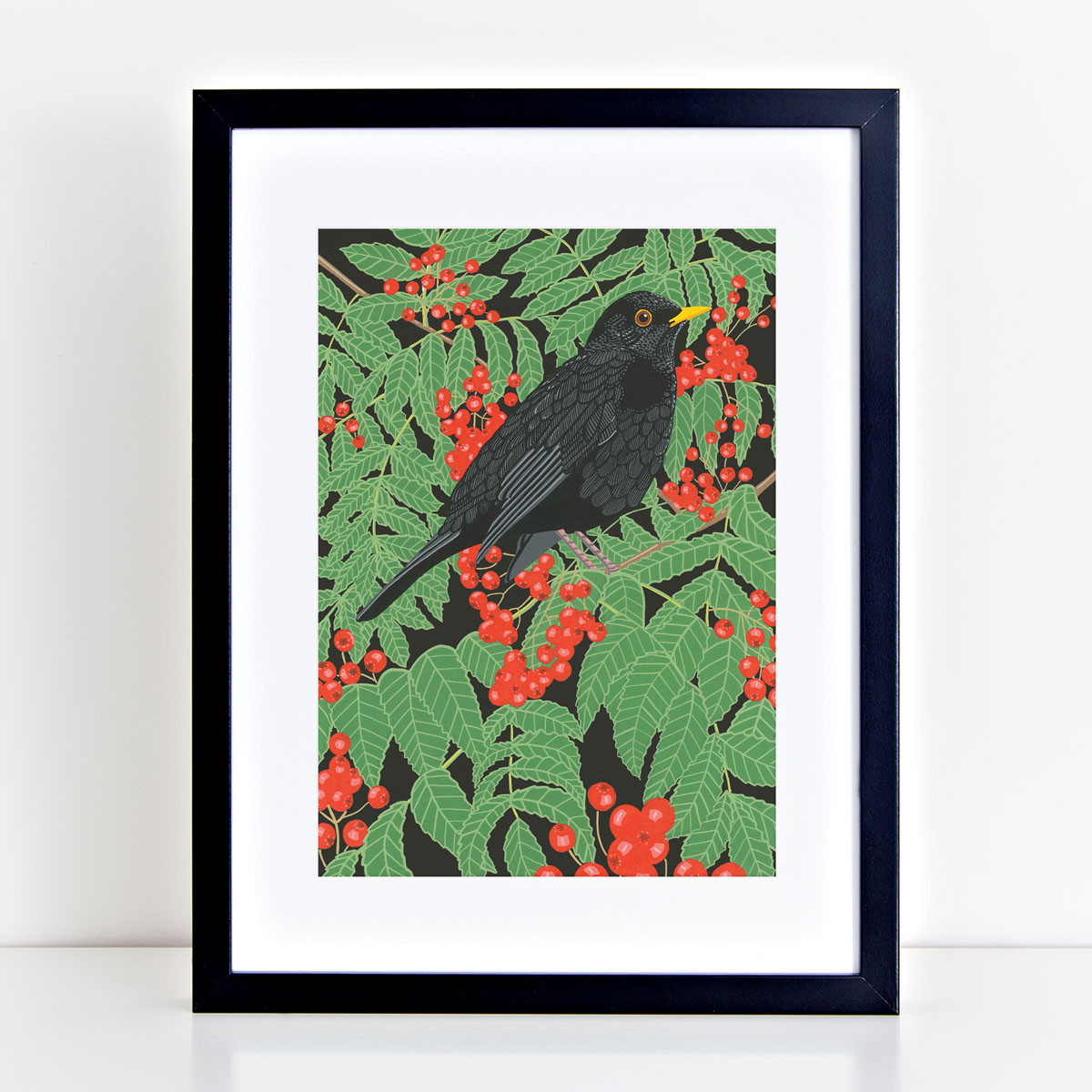 Blackbird Garden Bird Mounted And Framed Print