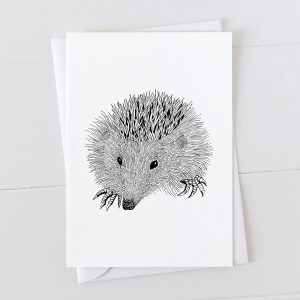 Hedgehog Pen And Ink Drawing Greeting Card