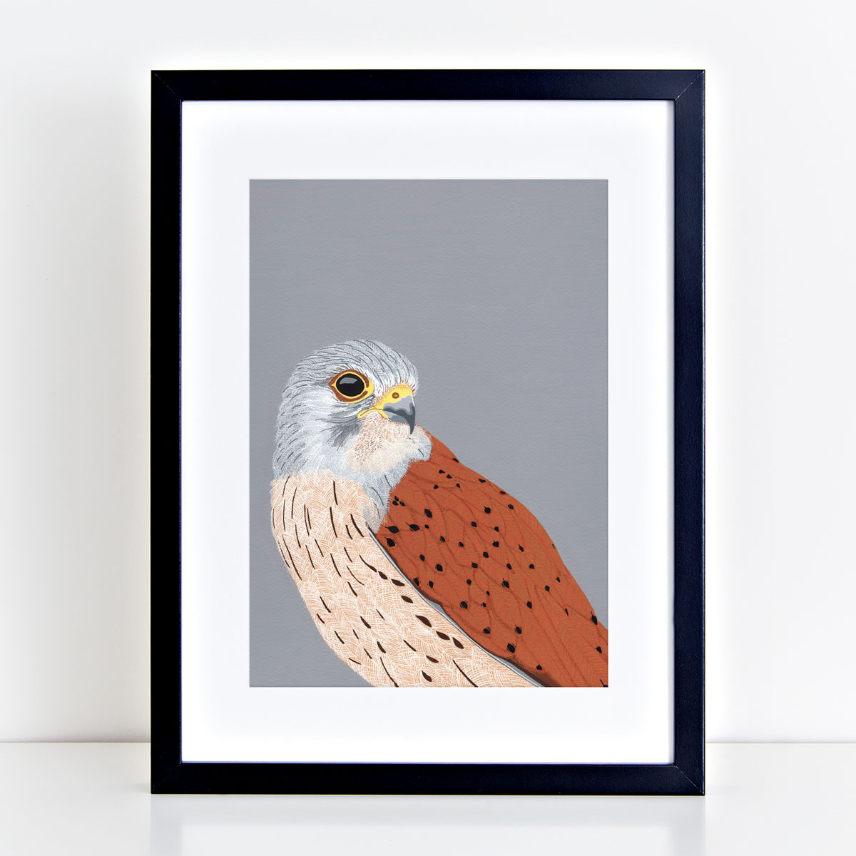 Kestrel Bird Head Mounted And Framed Print