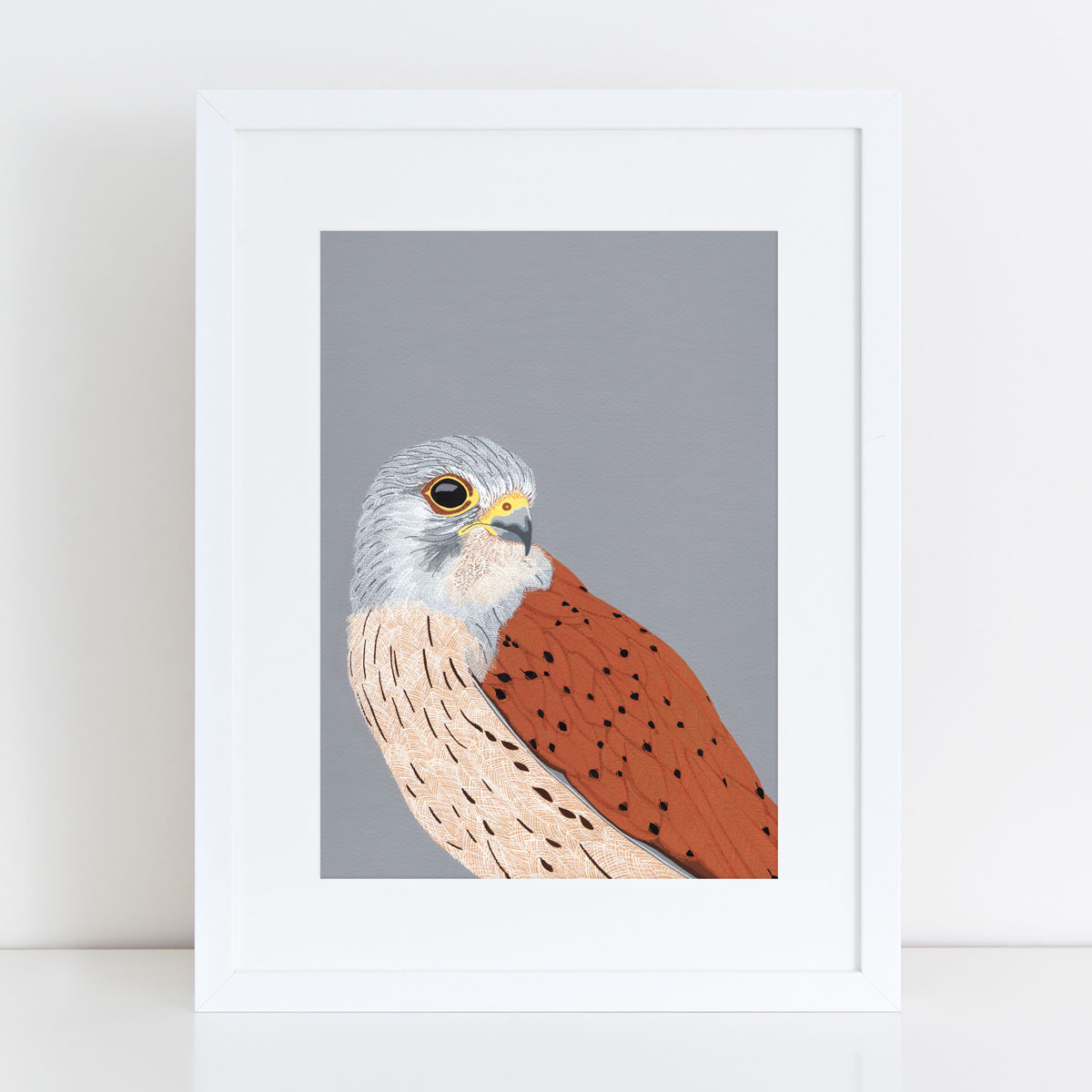 Kestrel Bird Head Mounted And Framed Print