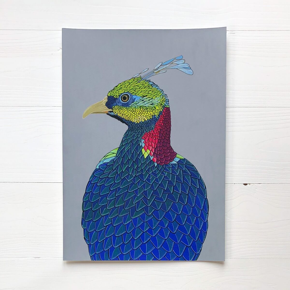 Monal Pheasant Original Gouache Painting By Bird