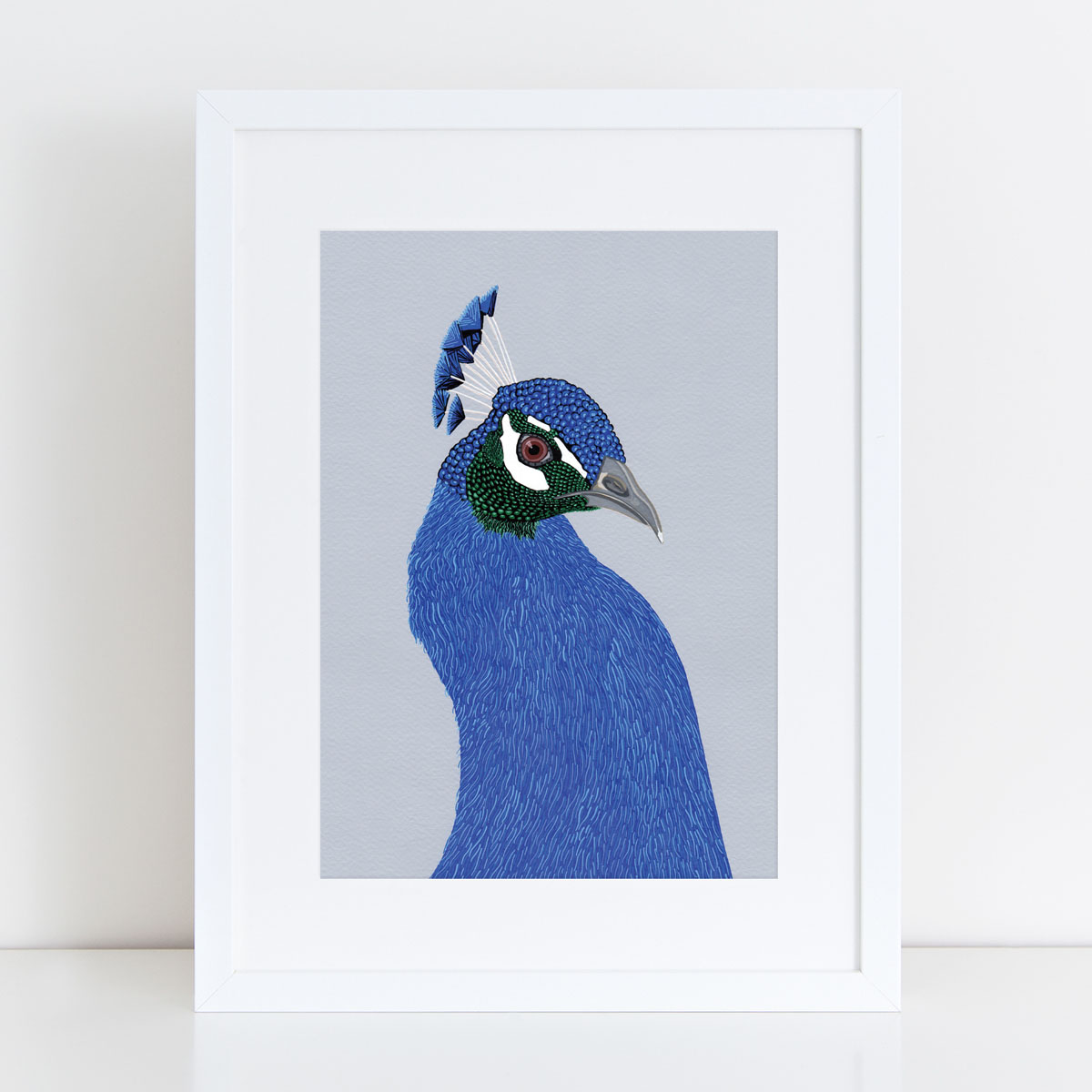 Peacock Bird Head Mounted And Framed Print