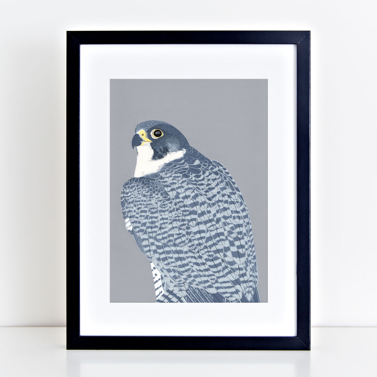 Peregrine Falcon Bird Head Mounted And Framed Print