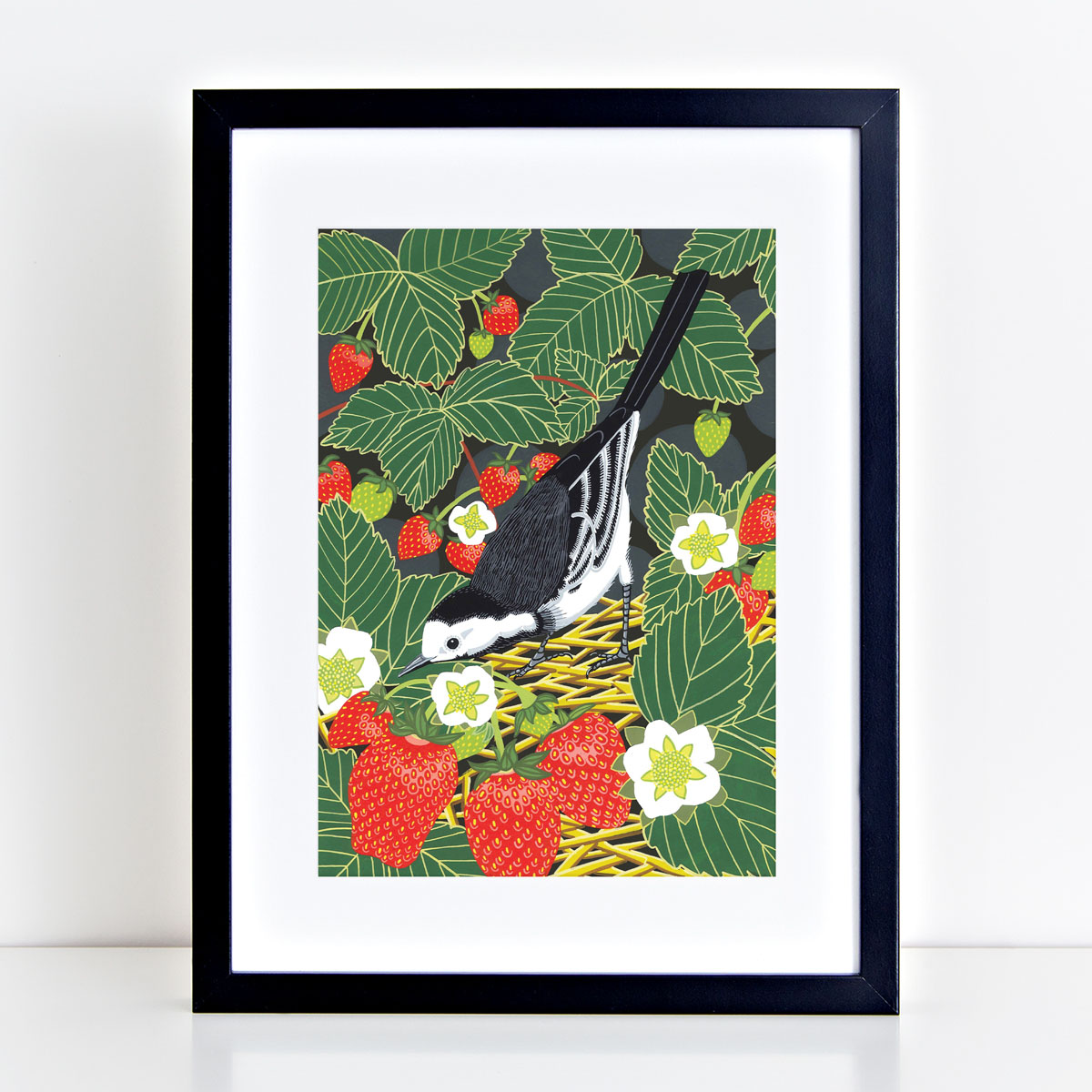 Pied Wagtail Garden Bird Mounted And Framed Print