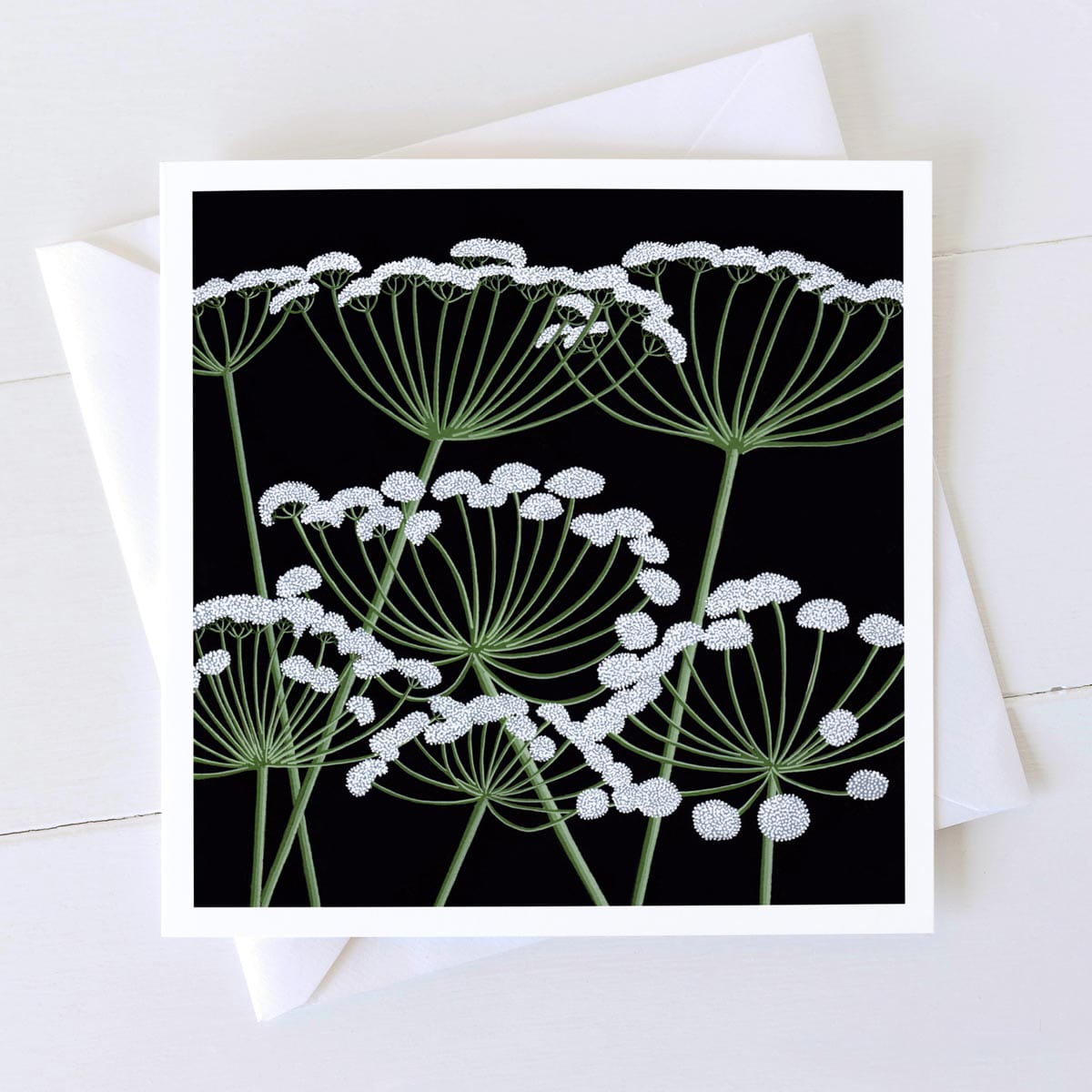 Cow Parsley Square Card By Bird the Artist